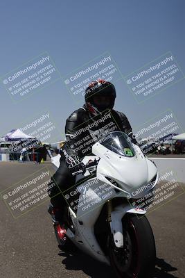 media/Jun-07-2025-TrackDaz (Sat) [[4413525952]]/C Group/grid/